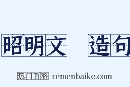 昭明文選造句是什么意思的图片